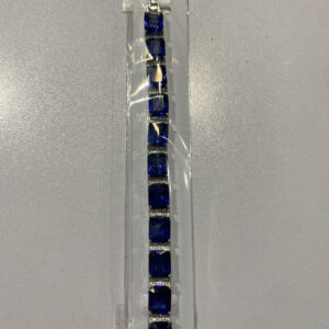 AR-brt-blu-1500-002