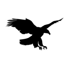 Eagle Wall Art